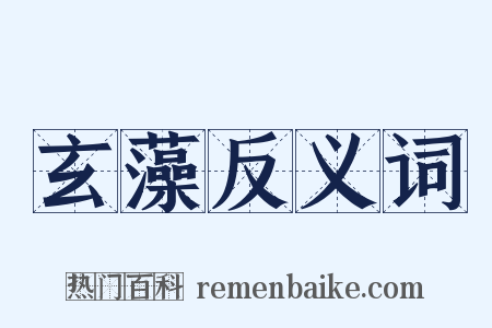 玄藻反义词是什么意思的图片